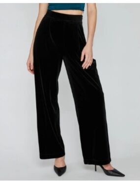 Gentle Fawn Velvet Lopez Pleated Stretch Black Wide Leg High Waist Pants XS Boho